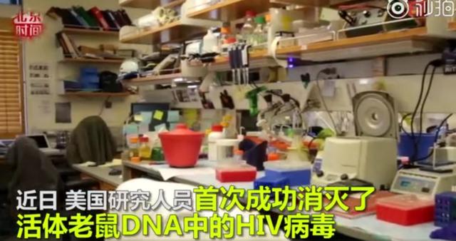 基因编辑清除HIV 实验显示艾滋病有望被治愈